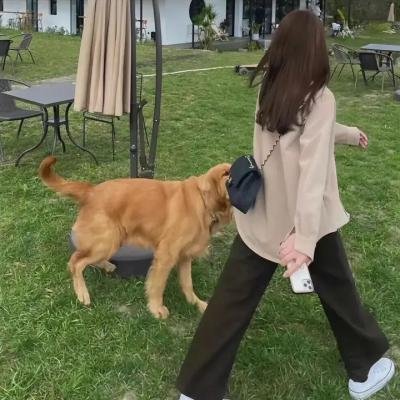 恋爱中的女人